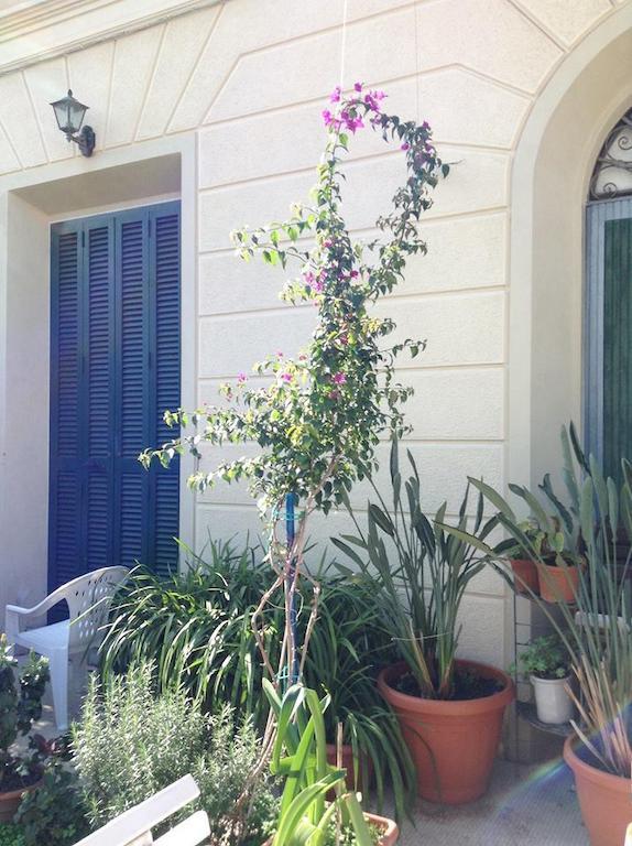Casa Fornaciari Bed & Breakfast Viareggio Dış mekan fotoğraf